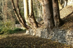 photo-28-11-2011-11-22-44
