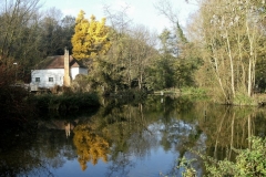 photo-28-11-2011-11-22-46