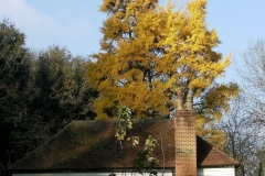 photo-28-11-2011-11-22-48