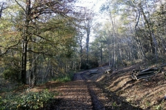 photo-28-11-2011-11-22-50