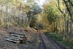 photo-28-11-2011-11-22-52