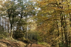 photo-28-11-2011-11-22-54