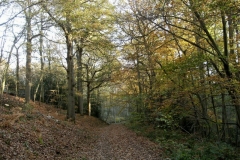 photo-28-11-2011-11-22-58