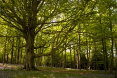 photo-30-04-2011-12-41-32
