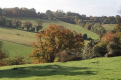 photo-30-10-2010-11-55-11