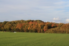 photo-30-10-2010-17-46-14