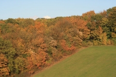 photo-30-10-2010-17-54-29