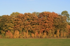photo-30-10-2010-17-54-31