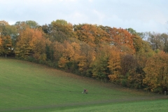 photo-30-10-2010-17-59-13