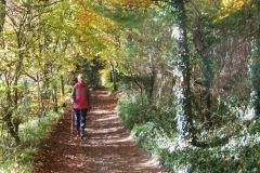 photo-31-10-2010-14-32-34