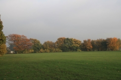 photo-31-10-2010-18-06-56