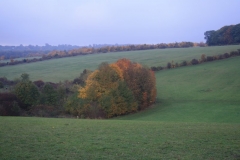 photo-31-10-2010-18-29-05