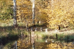 photo-31-10-2011-13-14-42