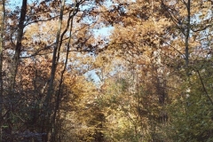 photo-31-10-2011-13-14-43
