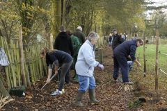 bearsted-26-11-2011-10-30-47