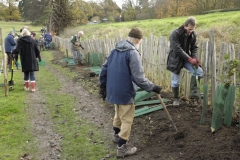 bearsted-26-11-2011-10-43-06-44-am