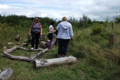 bug-hotel-tidy-up-event-005_0