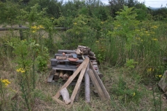 bug-hotel-tidy-up-event-012_0