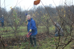 ightham-mote-cobnut-pruning-001