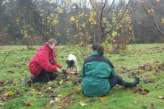 ightham-mote-cobnut-pruning-003