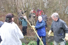 cobnut-pruning-workshop-allington-001