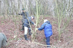 cobnut-pruning-workshop-allington-006