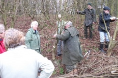 cobnut-pruning-workshop-allington-008