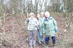cobnut-pruning-workshop-allington-010