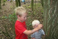 picture-016