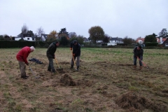 hythe-eaton-lands-tidy-up-and-future-heritage-tree-004