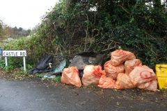 hythe-eaton-lands-tidy-up-and-future-heritage-tree-007
