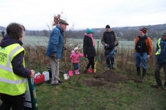 eynsford-future-heritage-tree-003