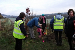 eynsford-future-heritage-tree-004