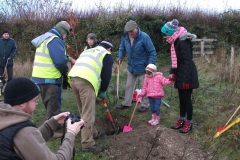eynsford-future-heritage-tree-005