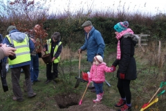 eynsford-future-heritage-tree-006