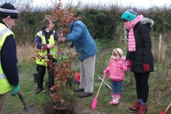eynsford-future-heritage-tree-009