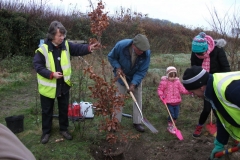 eynsford-future-heritage-tree-010