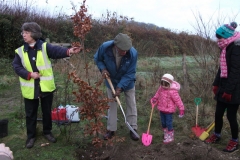 eynsford-future-heritage-tree-011