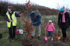 eynsford-future-heritage-tree-012