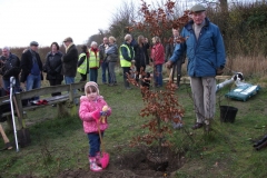 eynsford-future-heritage-tree-014