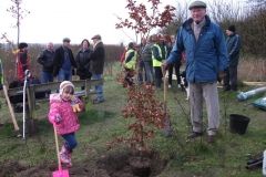 eynsford-future-heritage-tree-015
