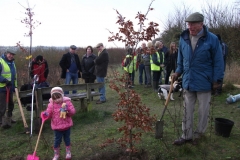 eynsford-future-heritage-tree-016