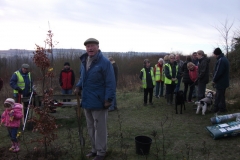 eynsford-future-heritage-tree-017