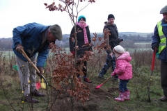 eynsford-future-heritage-tree-018