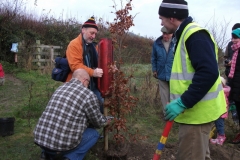 eynsford-future-heritage-tree-020