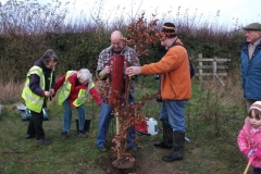 eynsford-future-heritage-tree-021
