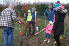 eynsford-future-heritage-tree-023