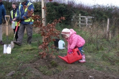 eynsford-future-heritage-tree-024