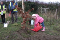 eynsford-future-heritage-tree-025