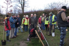 eynsford-future-heritage-tree-026